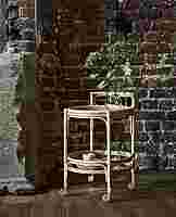 Romeo Trolley
