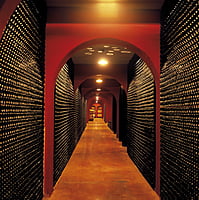 Pack 6 botellas Macià Batle Sauvignon + 1856. Pack 6 botellas Macià Batle Sauvignon + 1856.