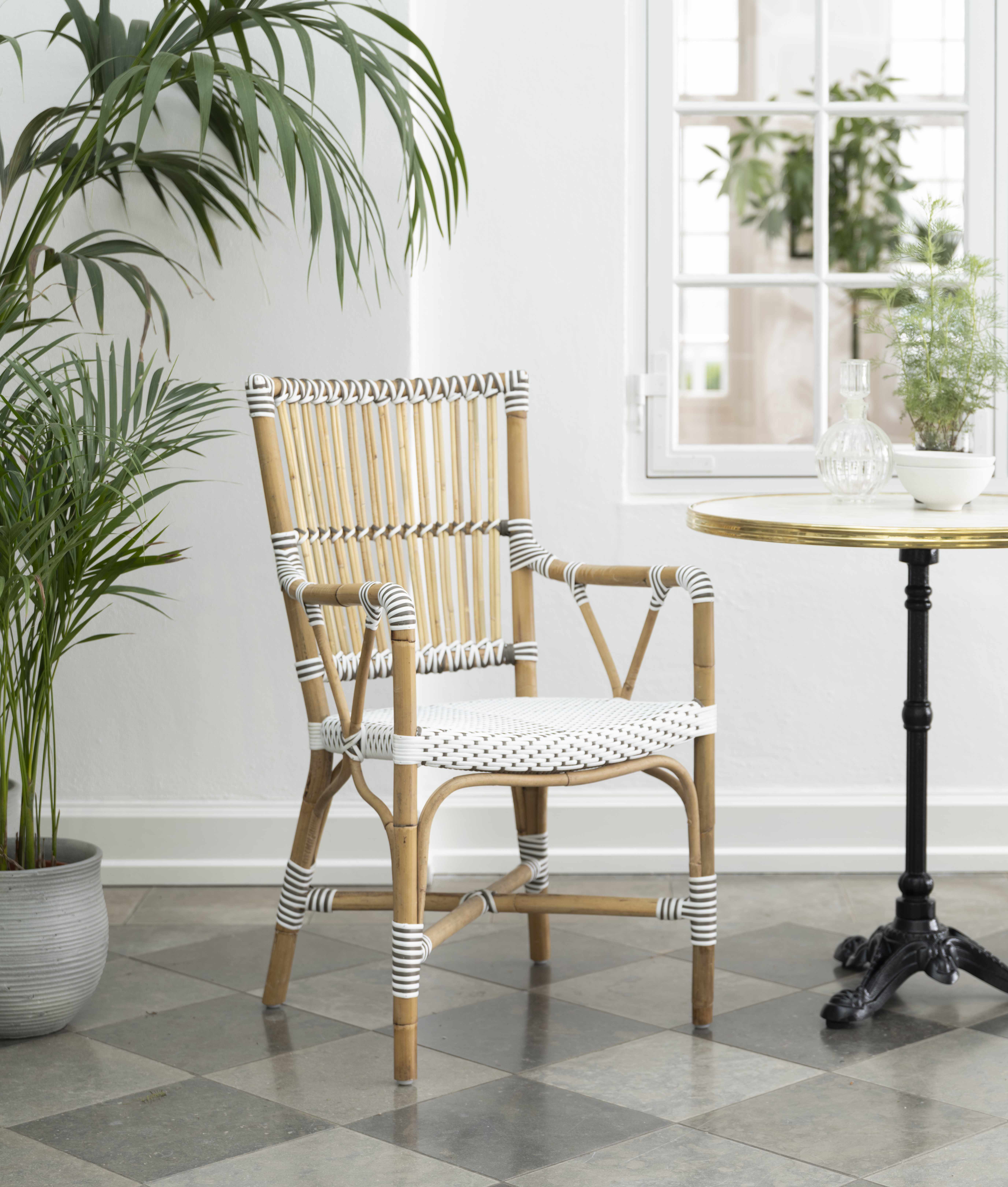 Monique Dining Armchair