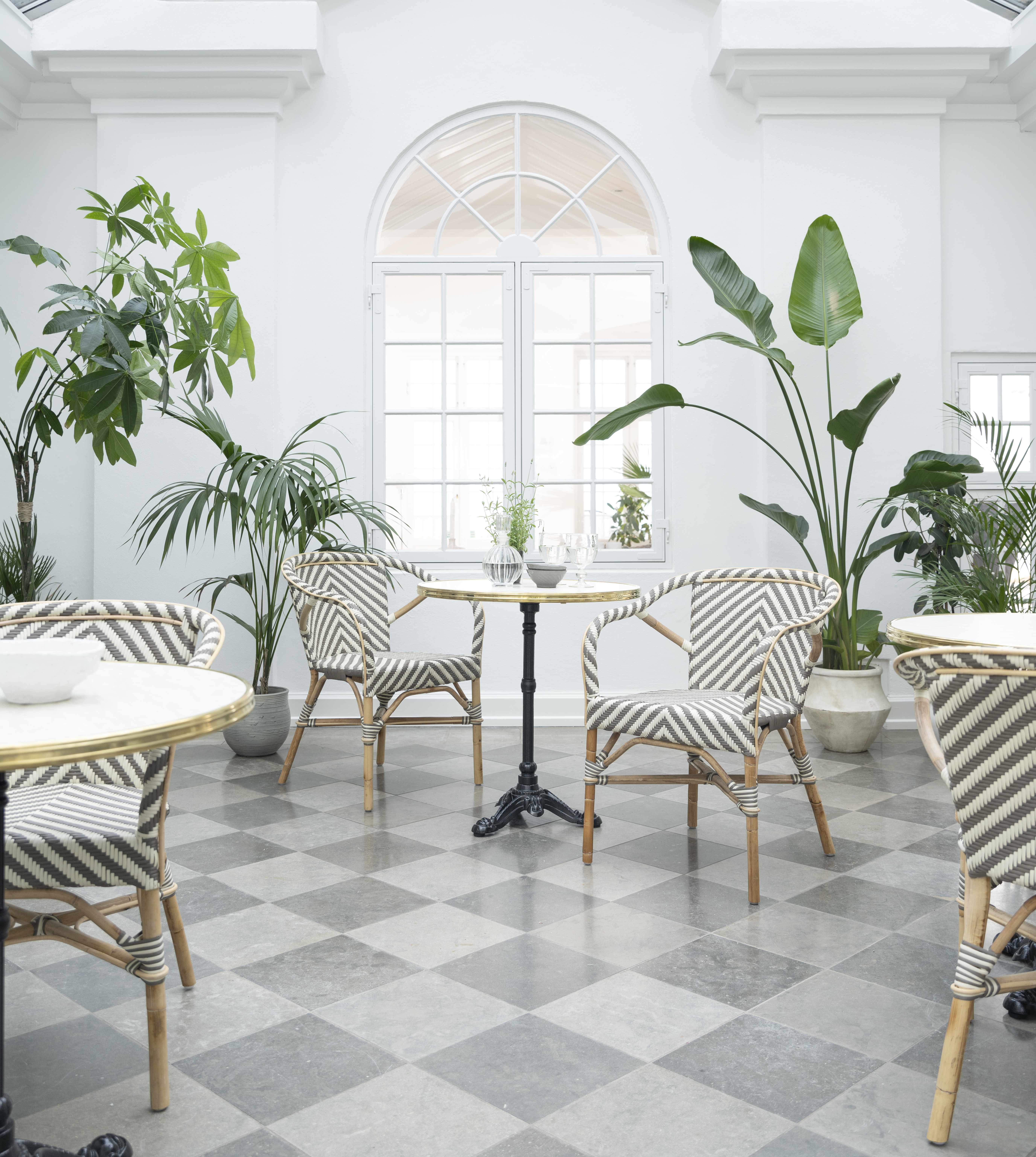 Madeleine Dining Chair