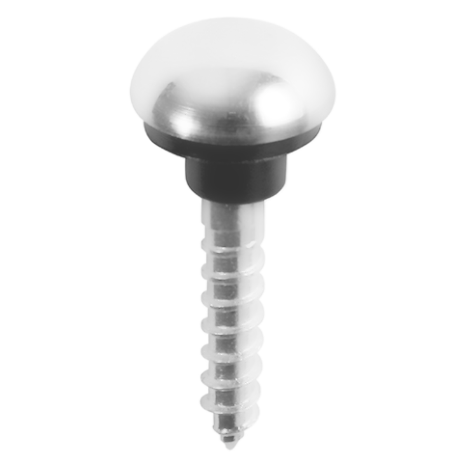 Dome Head Chrome with Screws (x200)