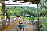 Balad Lamp H12 3 Pack x 2