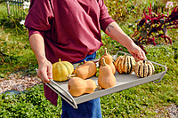 Alto Tray 53x38cm Alto Tray 53x38cm