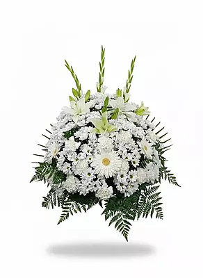 CENTRO CLASSIC CENTRO CLASSIC