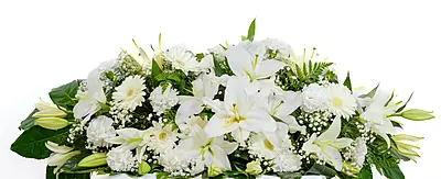 Centro ECO Incineracion Centro ECO Incineracion