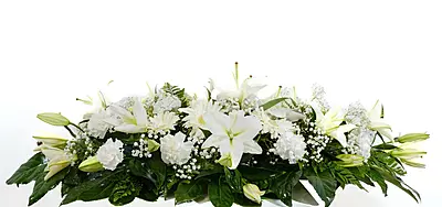 Centro ECO Incineracion