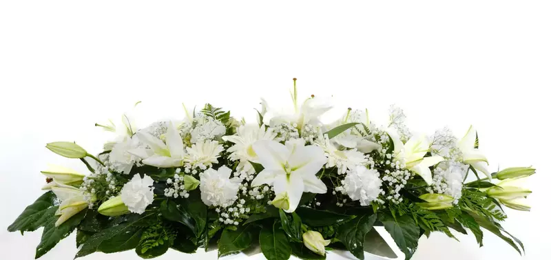 Centro ECO Incineracion Centro ECO Incineracion