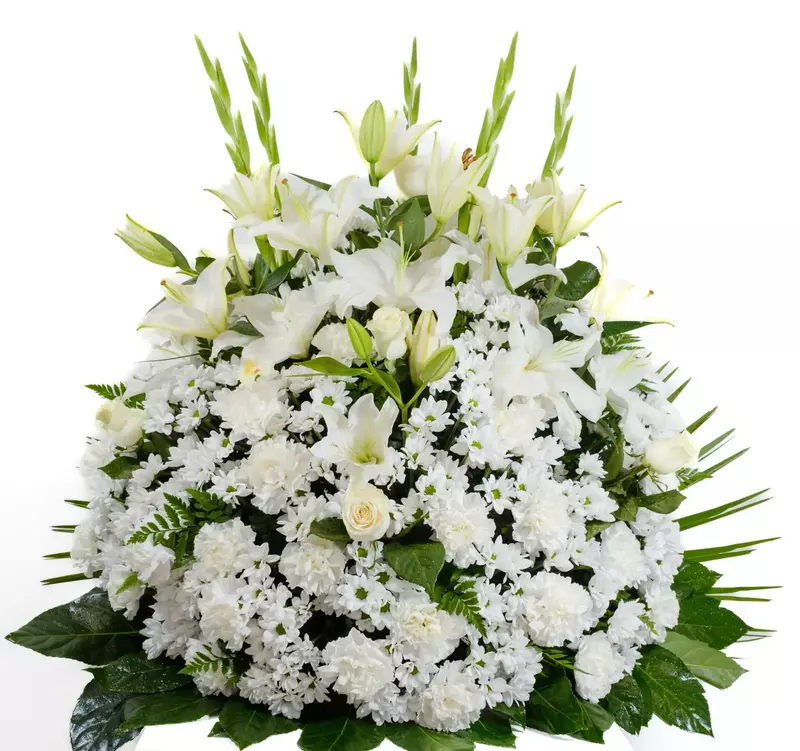 CENTRO PREMIUM CENTRO PREMIUM