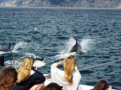 Adventure Camp for Teens in Portugal Adventure Camp for Teens in Portugal