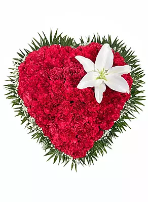 CORAZON DE ROSAS CORAZON DE ROSAS