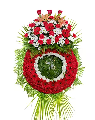 Corona Classic Corona Classic