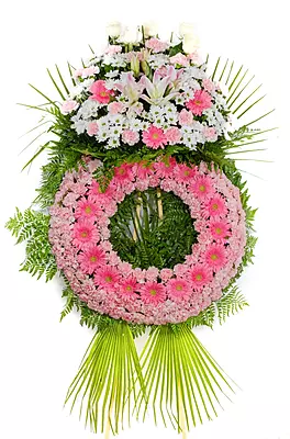 Corona Classic Corona Classic