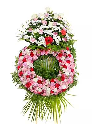 Corona Classic Corona Classic