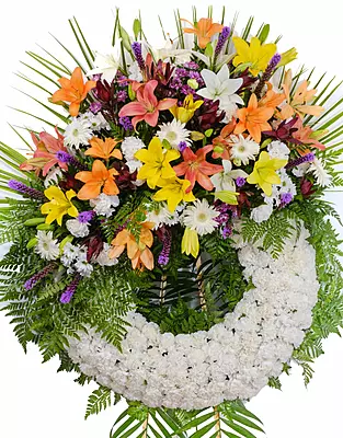 Corona Especial Corona Especial