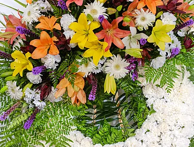 Corona Especial Corona Especial