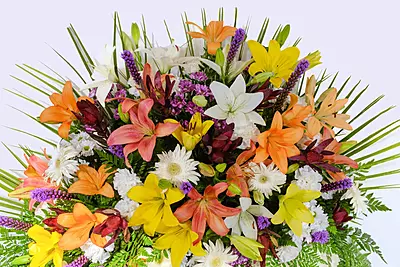 Corona Especial Corona Especial