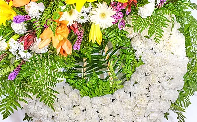 Corona Especial Corona Especial