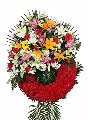 Corona Especial Corona Especial