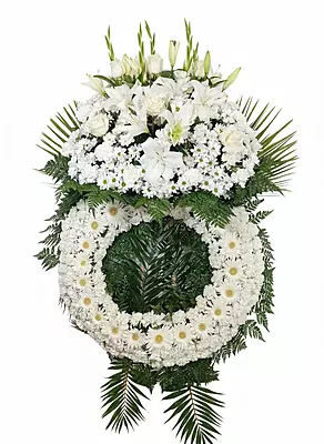 Corona Premium Corona Premium