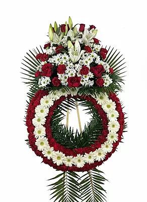 Corona Premium Corona Premium