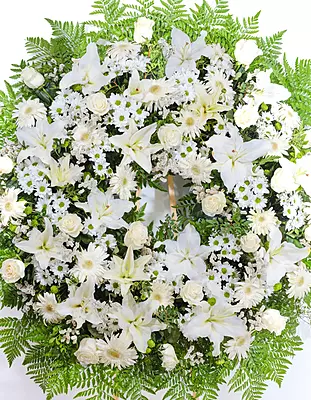 Corona Guirnalda Corona Guirnalda