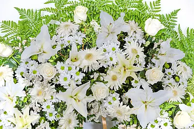 Corona Guirnalda Corona Guirnalda