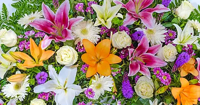 Corona Guirnalda Corona Guirnalda