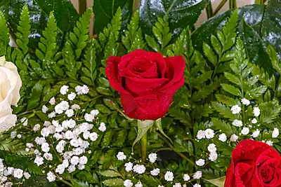 Guirnalda de Rosas Guirnalda de Rosas