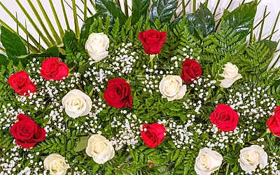 Guirnalda de Rosas Guirnalda de Rosas