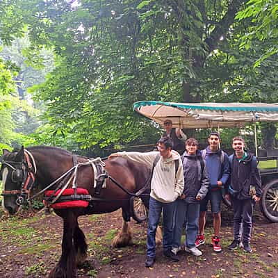 Adventure Culture Travel Program Adventure Culture Travel Program