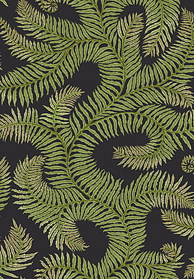 Bombe's Fernery Vinyl Bombe's Fernery Vinyl