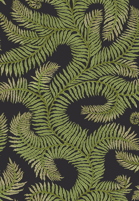 Bombe's Fernery Vinyl Bombe's Fernery Vinyl