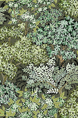 Broccoli Canopy Vinyl