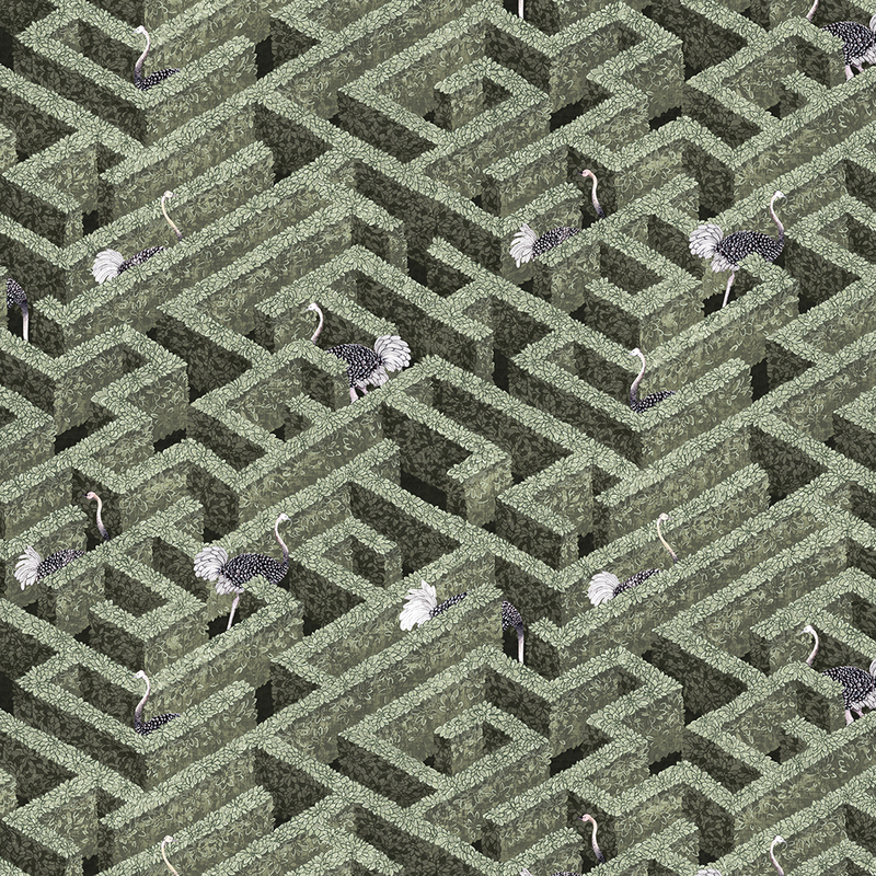 Labyrinth with Ostriches Wallpaper - Eucalyptus