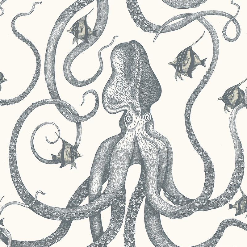 Octopoda Grand Wallpaper - Hilles White