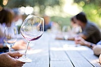 6 botellas 1856 Vi de la Terra 2016 Macià Batle 6 botellas 1856 Vi de la Terra 2016 Macià Batle