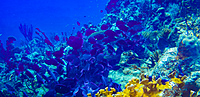 2021-11-30 (14 Tg) KARIBIK: British Virgin Islands (Katamaran-Wintertraum) - IN PLANUNG 2021-11-30 (14 Tg) KARIBIK: British Virgin Islands (Katamaran-Wintertraum) - IN PLANUNG