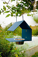 Picoti Bird Feeder