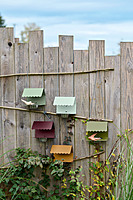 Picoti Bird Feeder