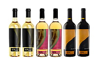 Pack 6 botellas Bodegas Vins 971. Pack 6 botellas Bodegas Vins 971.