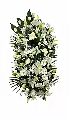 PALMATORIA DE PIE PALMATORIA DE PIE