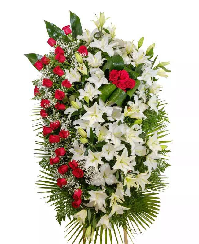 PALMATORIA DE PIE PALMATORIA DE PIE