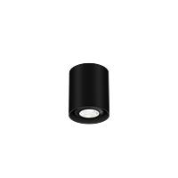 Ray Mini Surface 1.0 PAR16