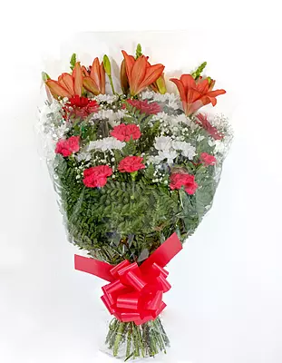 RAMO CLASSIC RAMO CLASSIC