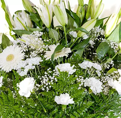 RAMO PREMIUM RAMO PREMIUM