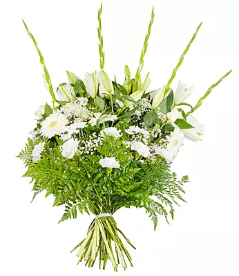 RAMO PREMIUM RAMO PREMIUM