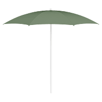 Shadoo Parasol Cactus Shadoo Parasol Cactus