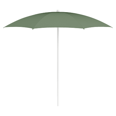 Shadoo Parasol Cactus