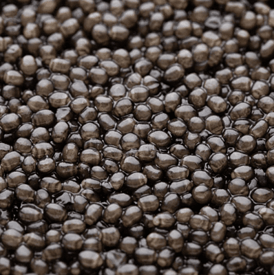 Caviar Imperial Kaluga