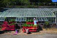 Terrazza Large Planter